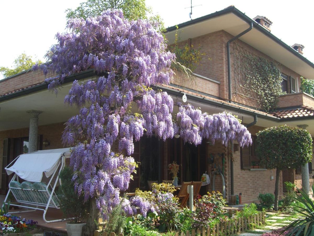 B&B Les Fleurettes โลมาซโซ ภายนอก รูปภาพ